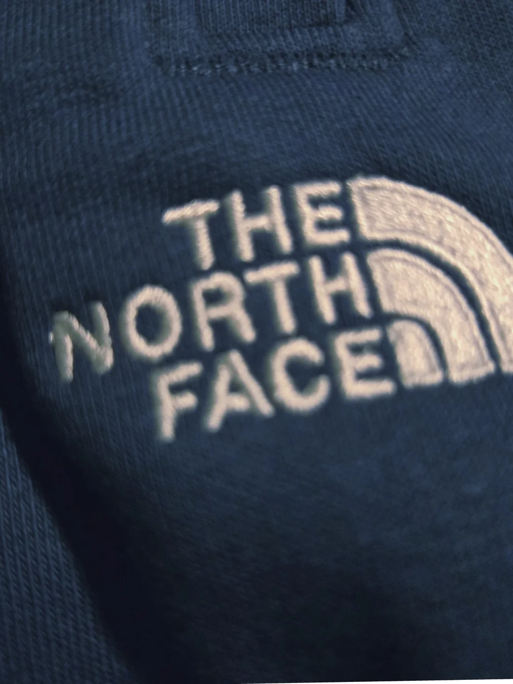 The North Face Men's Blue Evo Jogger Pants